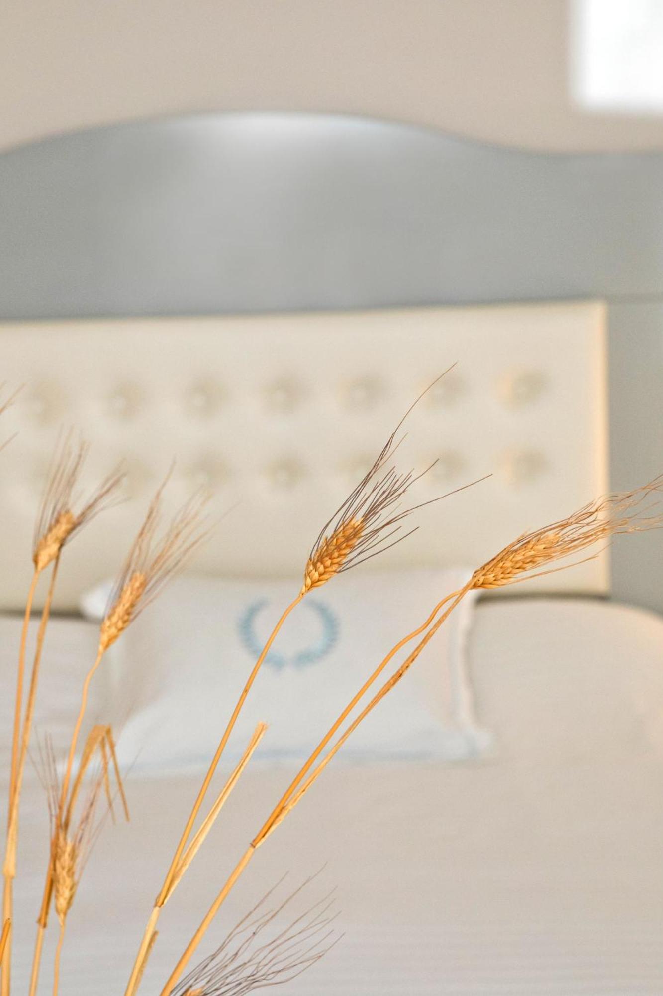 Masouriblu Boutique Hotel Kültér fotó